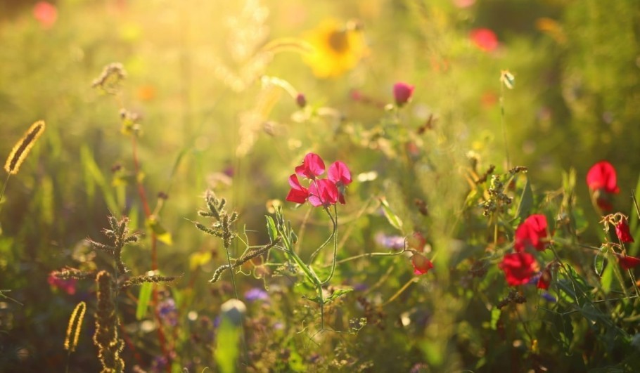 bild krebsberatung 2