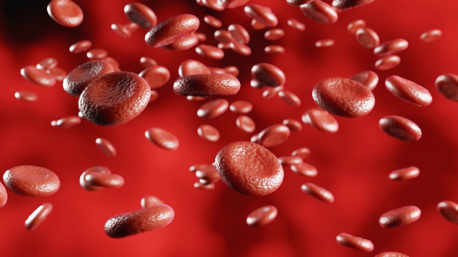 Blut